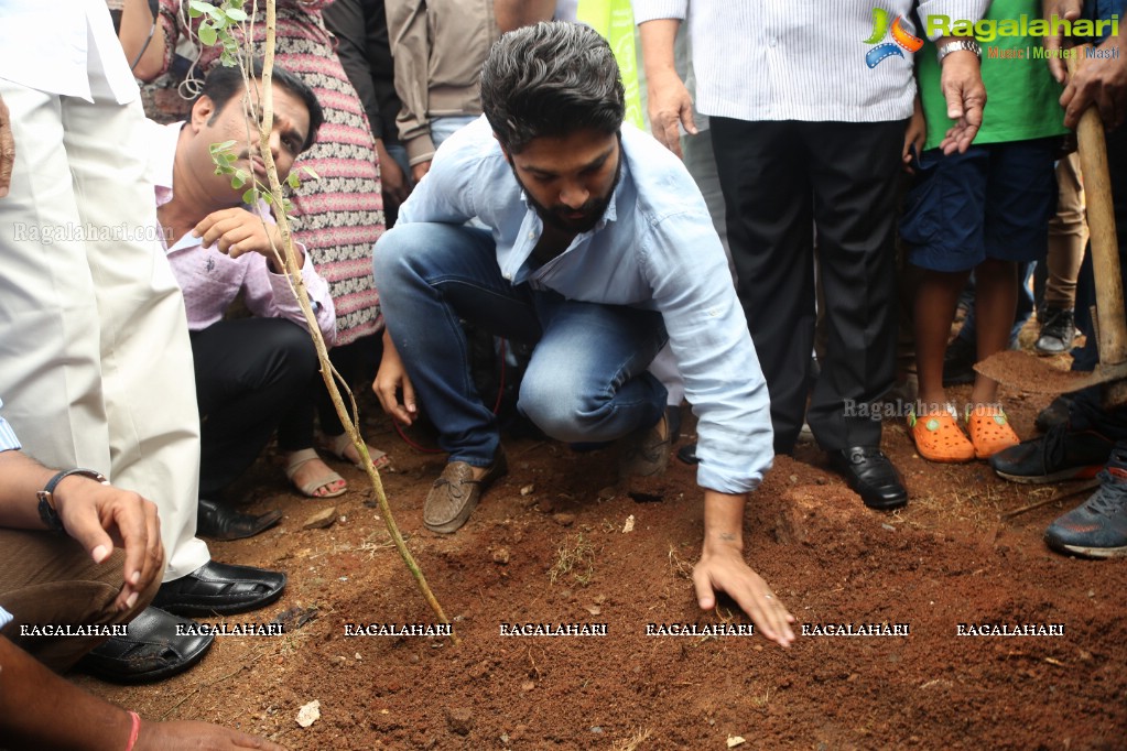 Tollywood Celebrities Participate in Haritha Haram Program