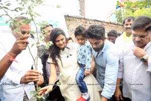 Haritha Haram Tollywood