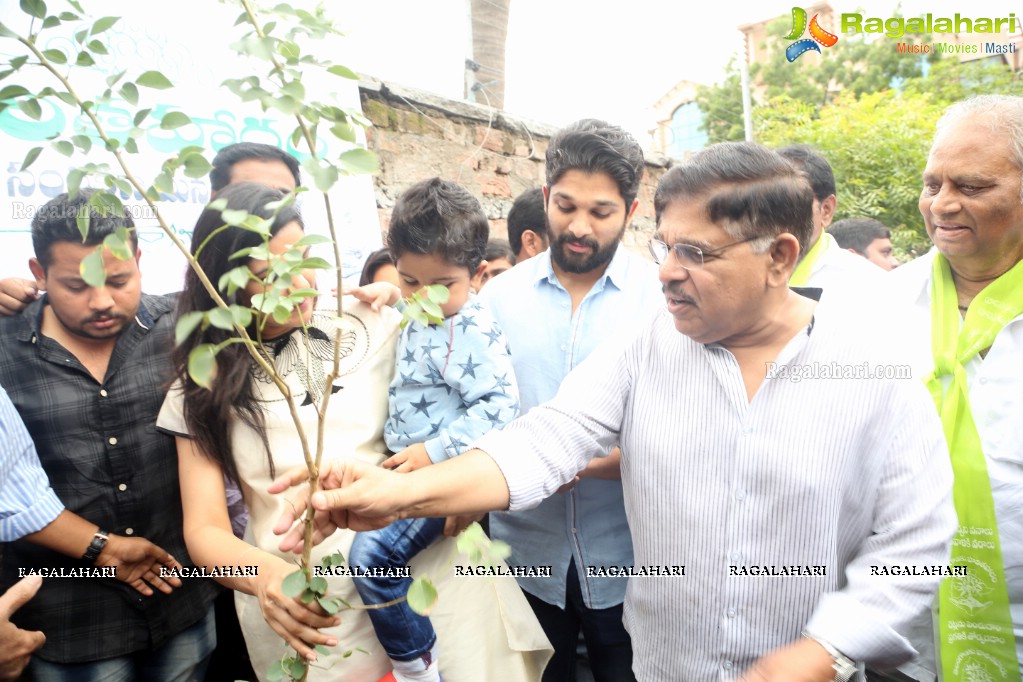 Tollywood Celebrities Participate in Haritha Haram Program