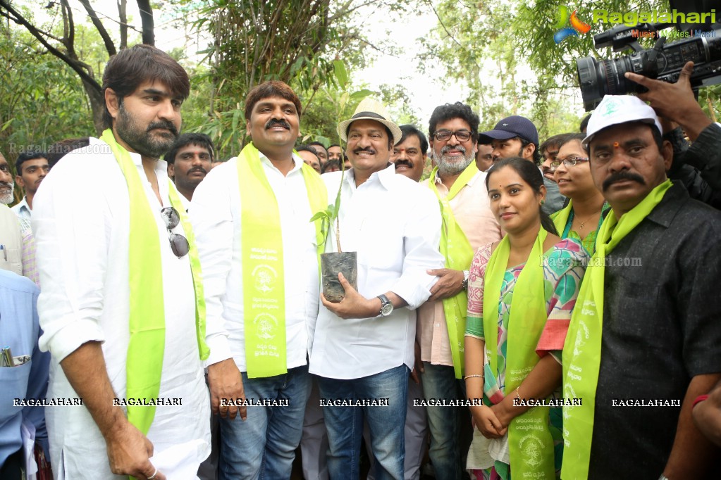 Tollywood Celebrities Participate in Haritha Haram Program