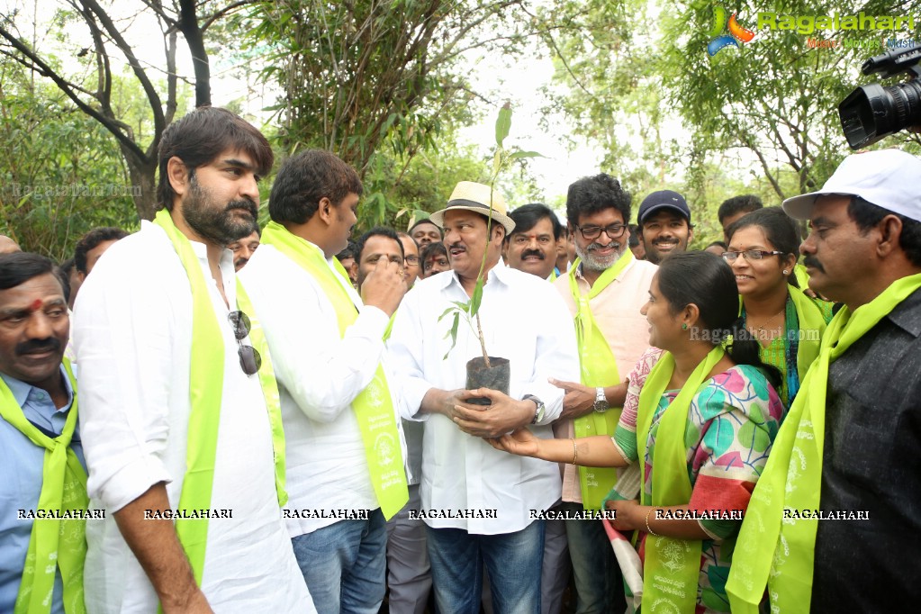 Tollywood Celebrities Participate in Haritha Haram Program