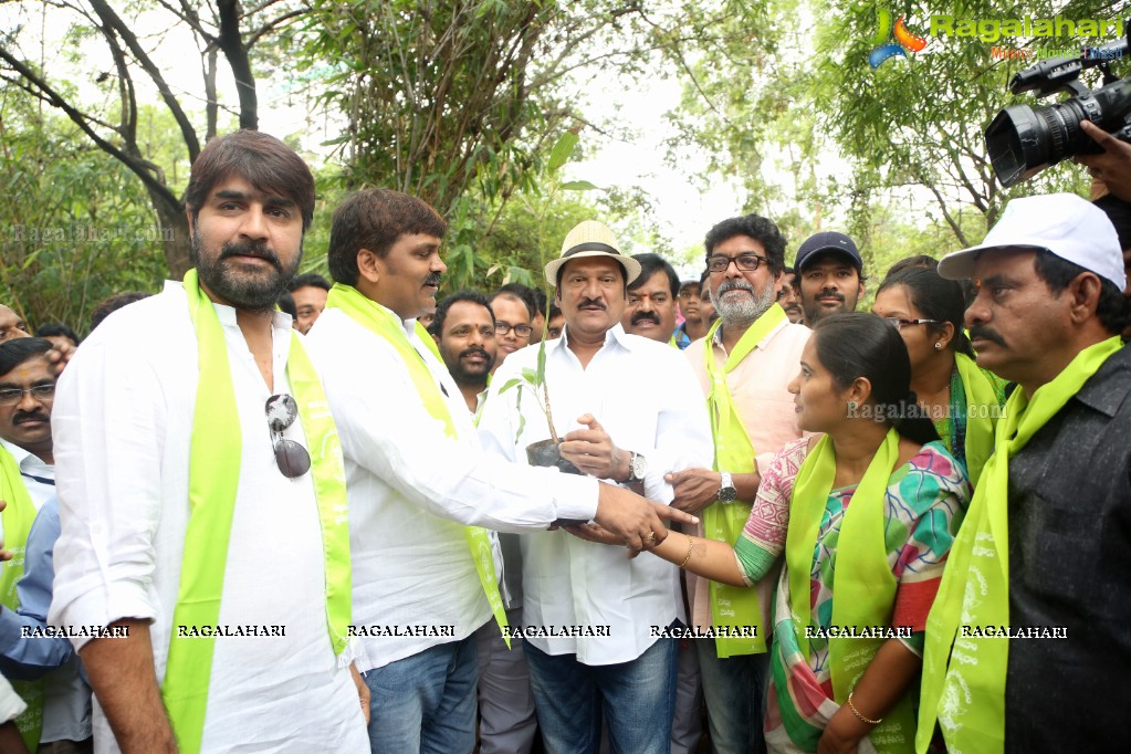 Tollywood Celebrities Participate in Haritha Haram Program