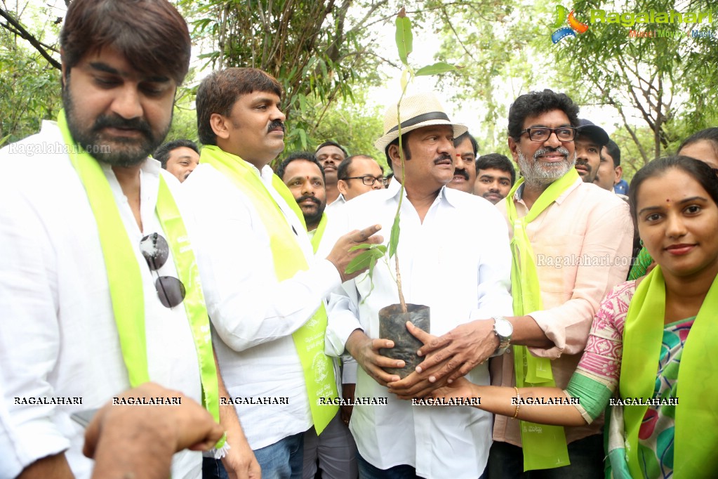 Tollywood Celebrities Participate in Haritha Haram Program