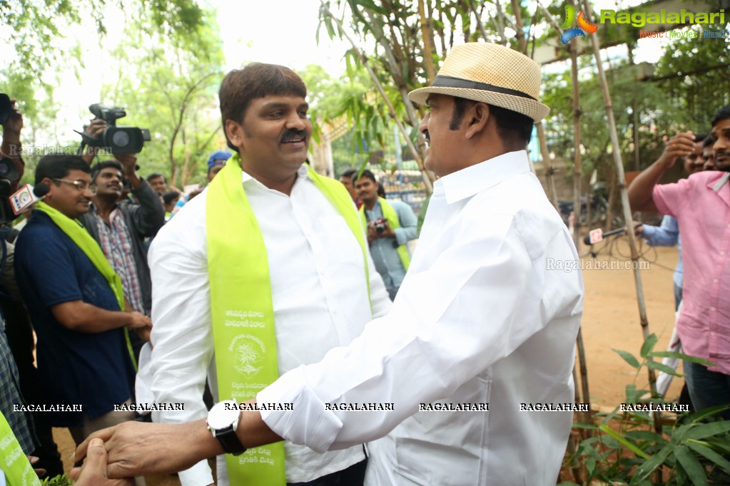 Tollywood Celebrities Participate in Haritha Haram Program