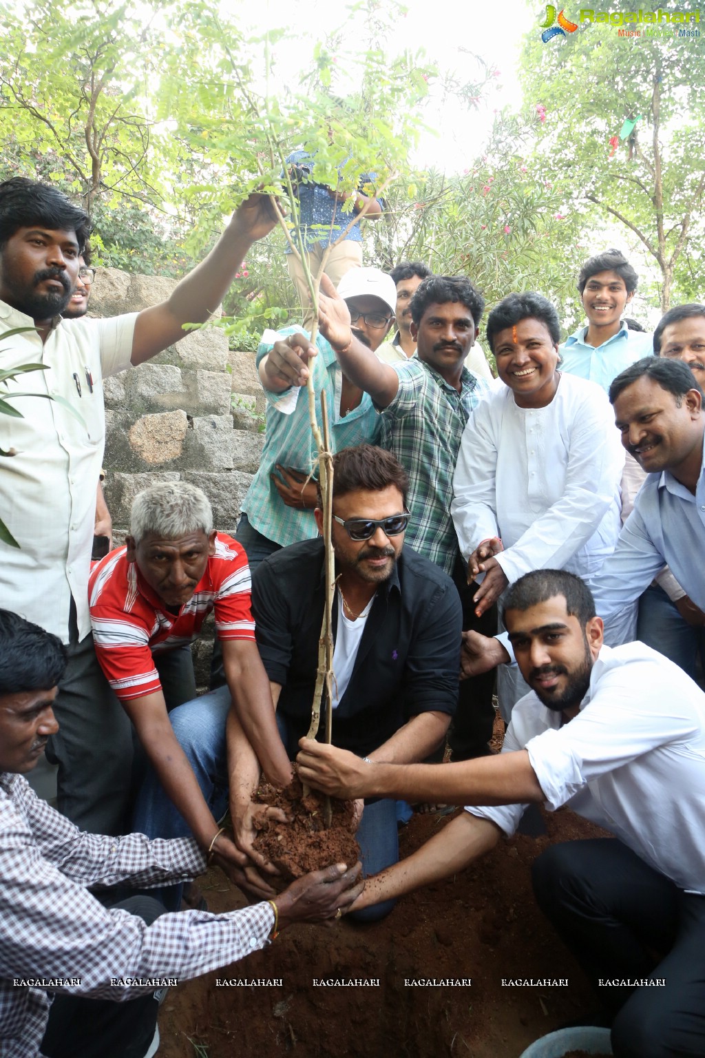 Venkatesh participates in Haritha Haaram