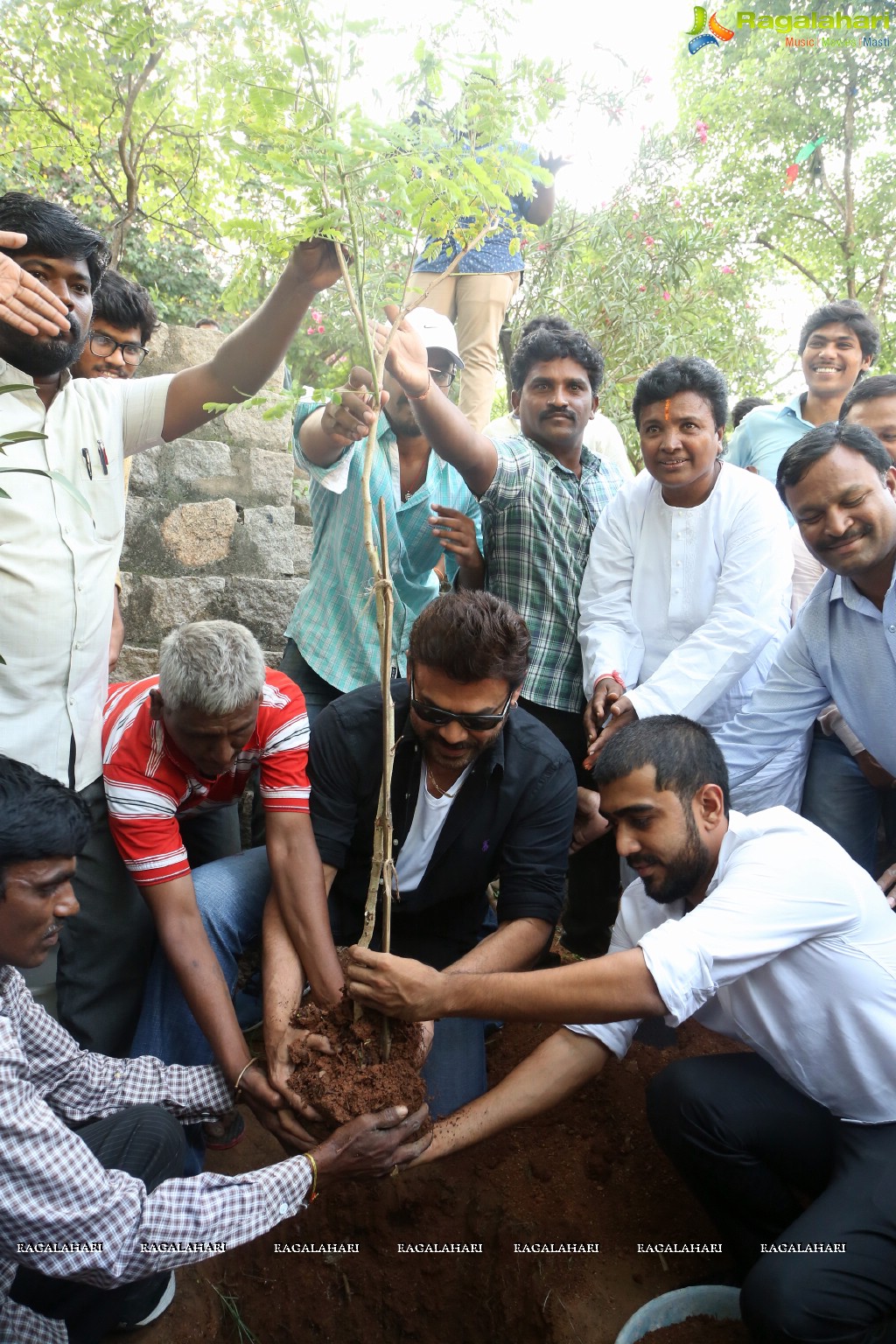 Venkatesh participates in Haritha Haaram