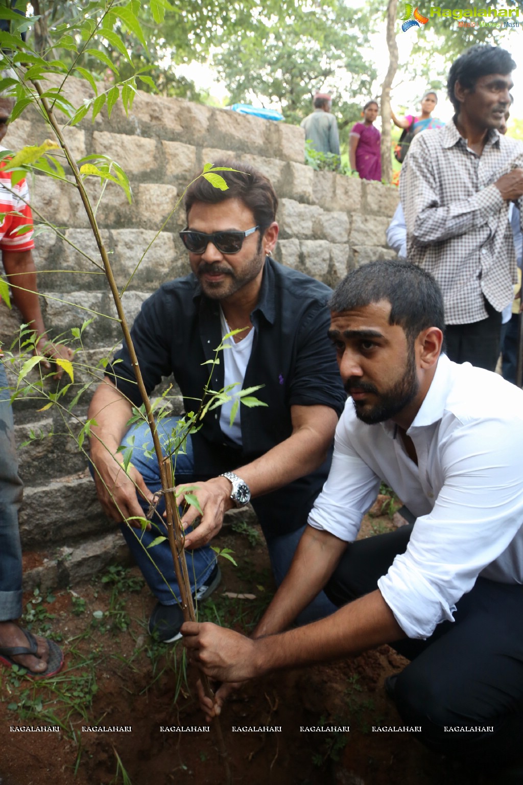 Venkatesh participates in Haritha Haaram