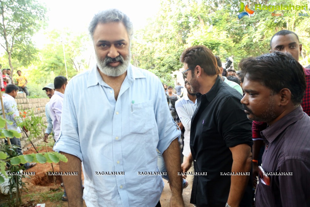 Venkatesh participates in Haritha Haaram