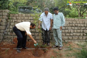 Venkatesh Haritha Haaram