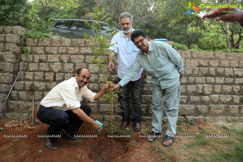 Venkatesh participates in Haritha Haaram