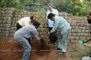 Venkatesh Haritha Haaram