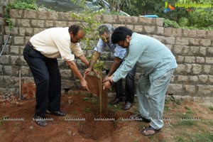 Venkatesh Haritha Haaram