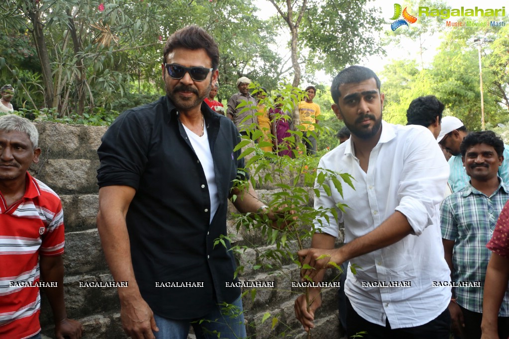 Venkatesh participates in Haritha Haaram