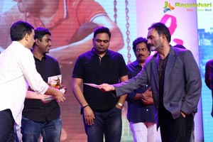 Fidaa Audio Release