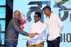 Gautham Nanda Audio Release