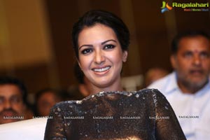 Gautham Nanda Audio Release