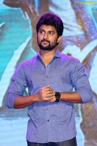 Nenu Local 100 Days Function