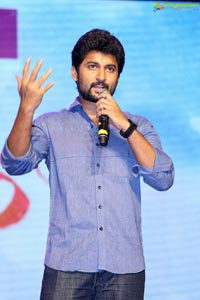 Nenu Local 100 Days Function