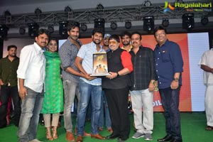 Ninnu Kori Blockbuster Celebrations