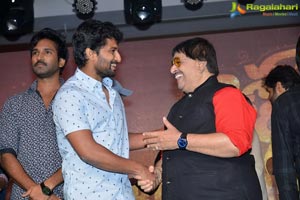 Ninnu Kori Blockbuster Celebrations