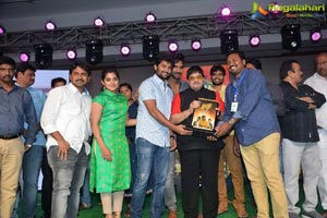 Ninnu Kori Blockbuster Celebrations