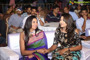 Shatamanam Bhavathi 100 days Function