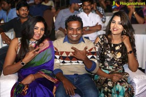 Shatamanam Bhavathi 100 days Function