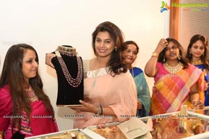 Jaipur Jewels Expo Launch