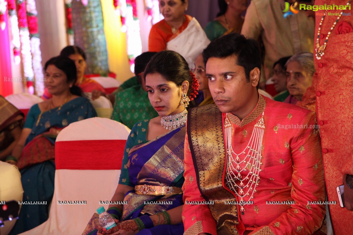 Grand Wedding of Nidhi with Abhilash at JRC