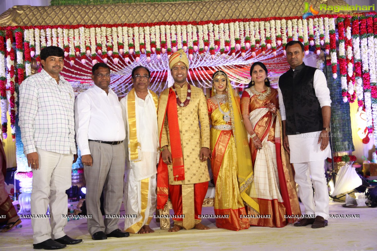 Grand Wedding of Nidhi with Abhilash at JRC