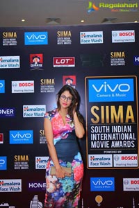 SIIMA 2017 Day 2