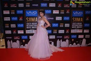 SIIMA 2017 Day 1 Photos