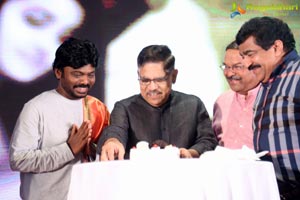 Tej Pre-Release Event