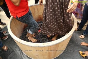 Grape Stomping Kitty Party