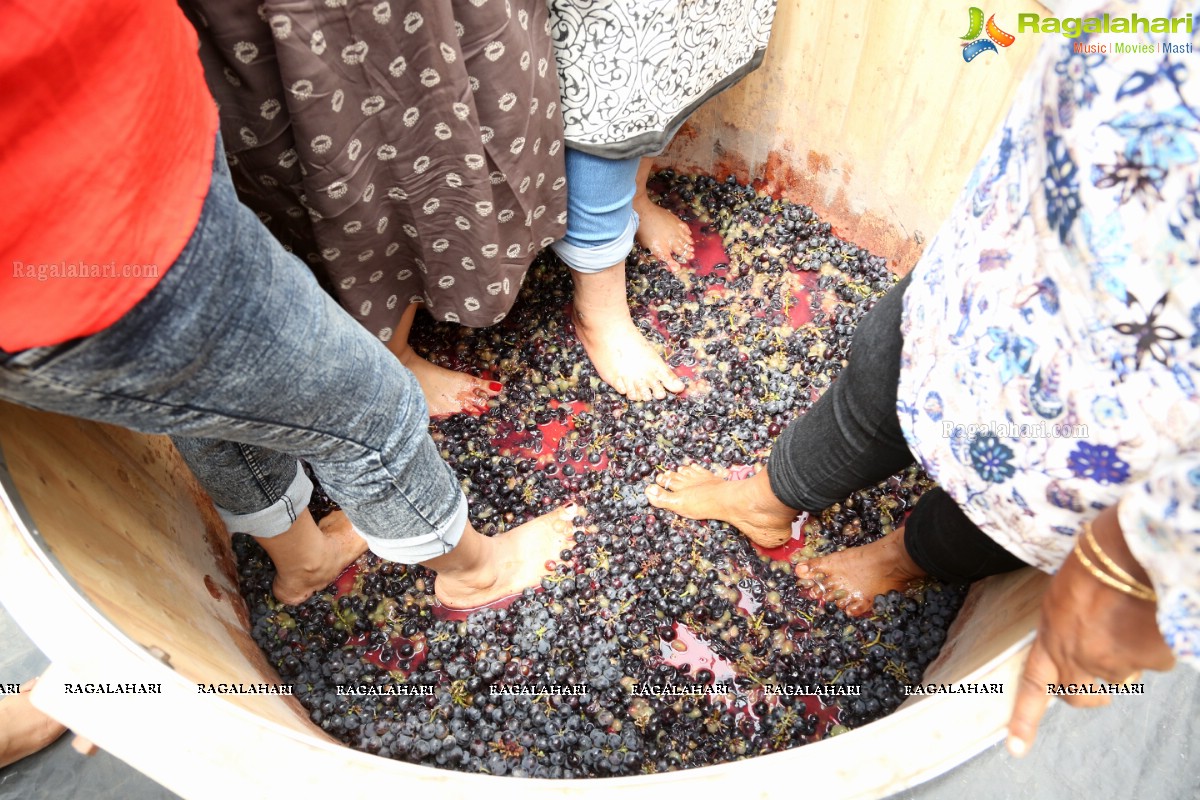Crazy Queens Grape Stomping Kitty Party