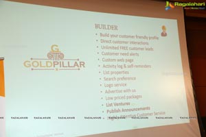 Gold Pillar Website Launch