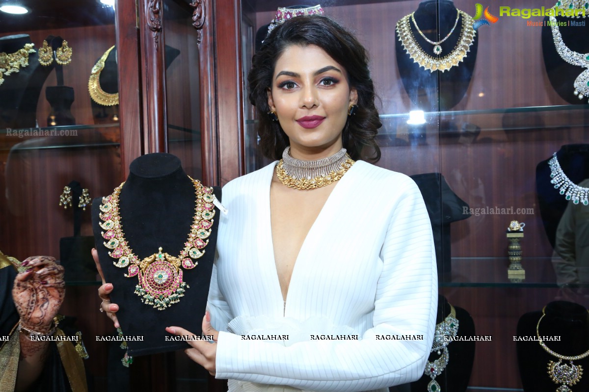 Anisha Ambrose Launches Hi-Life Luxury Fashion Exhibition at Novotel HICC