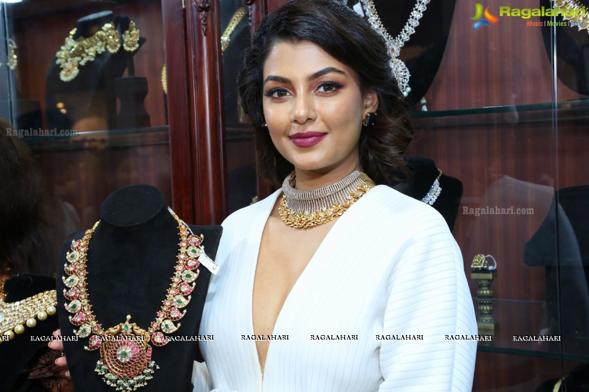 Anisha Ambrose Launches Hi-Life Luxury Fashion Exhibition at Novotel HICC