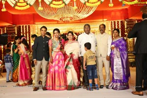 Ramana-Laya Reception