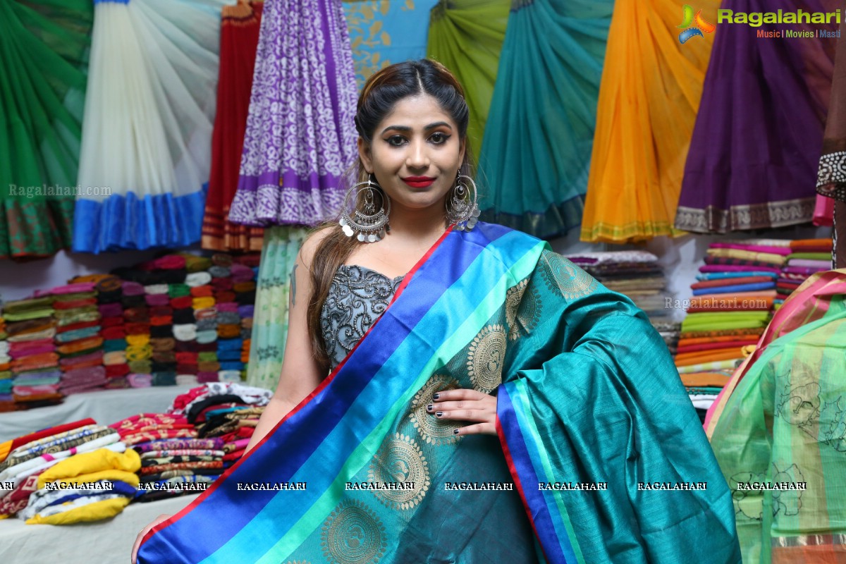 Silk and Cotton Expo Launch at TTD Kalyana Mandapam, Himayatnagar