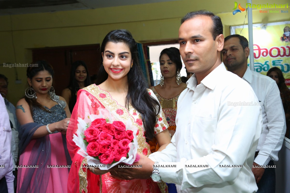 Silk and Cotton Expo Launch at TTD Kalyana Mandapam, Himayatnagar