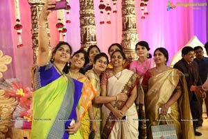 Ambica Krishna Grandson Wedding Reception