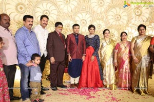 Ambica Krishna Grandson Wedding Reception