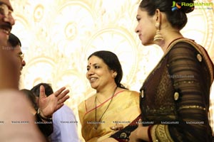 Ambica Krishna Grandson Wedding Reception