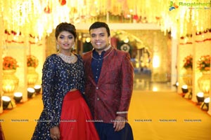 Ambica Krishna Grandson Wedding Reception