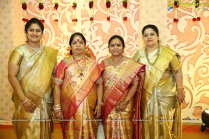 Ambica Krishna Grandson Wedding Reception