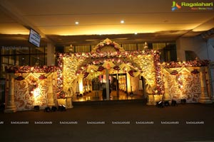 Ambica Krishna Grandson Wedding Reception