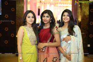 Ambica Krishna Grandson Wedding Reception