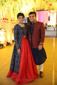 Ambica Krishna Grandson Wedding Reception