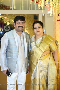 Ambica Krishna Grandson Wedding Reception